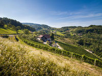 Mit freundlicher Genehmigung der Tourist-Info Sasbachwalden ©Steffen Egly