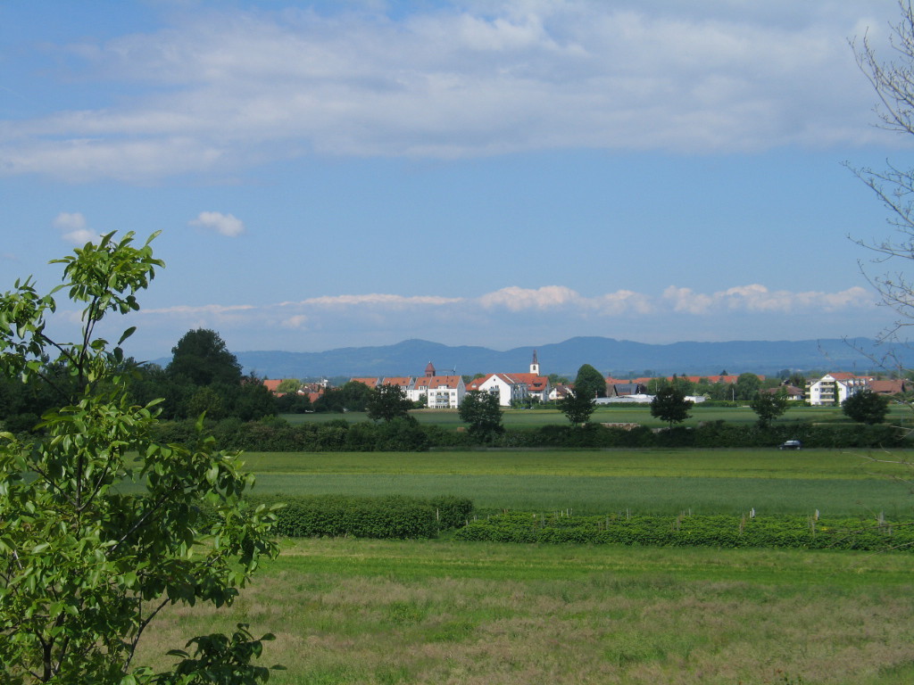 Gasthof Grüner Baum Biberach