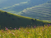 Badberg (Bildnachweis: Touristik-Information Vogtsburg i.K. Fotograf: Hans-Peter Ziesmer) Badberg (Bildnachweis: Touristik-Information Vogtsburg i.K. Fotograf: Hans-Peter Ziesmer)