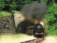 Sauschwänzlebahn (Bildnachweis: Touristinformation Blumberg) Sauschwänzlebahn (Bildnachweis: Touristinformation Blumberg)