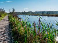 (Bildnachweis: Wirtschaft und Tourismus Villingen-Schwenningen GmbH)  (Bildnachweis: Wirtschaft und Tourismus Villingen-Schwenningen GmbH)