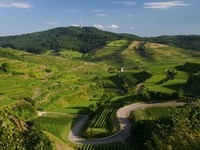 (Bildnachweis: Touristik-Information Vogtsburg i.K. Fotograf: Hans-Peter Ziesmer) (Bildnachweis: Touristik-Information Vogtsburg i.K. Fotograf: Hans-Peter Ziesmer)