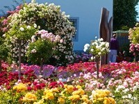 (Bildnachweis: Mit freundlicher Genehmigung der Tourist Information" Am Roseneck" Weilheim)  (Bildnachweis: Mit freundlicher Genehmigung der Tourist Information" Am Roseneck" Weilheim)