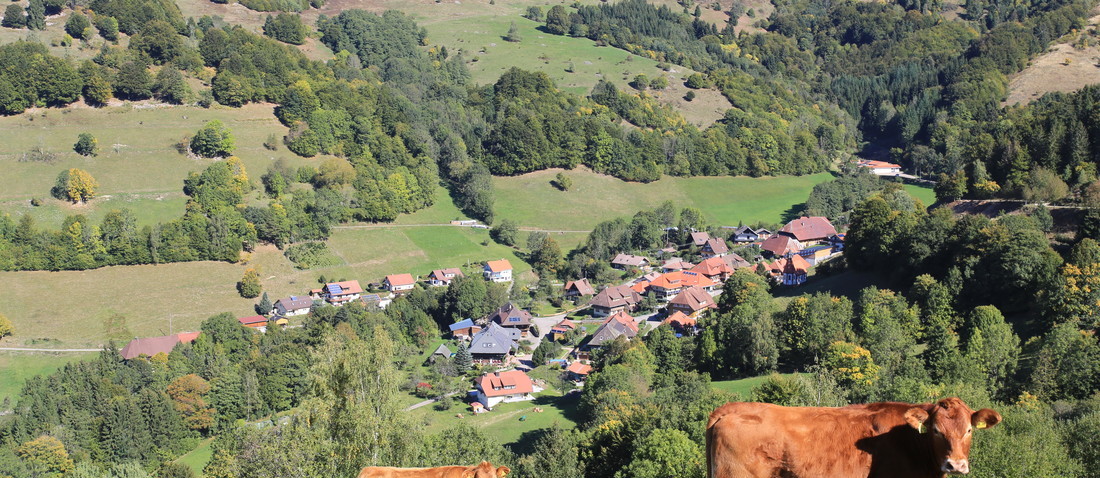 Sehenswrdigkeiten Schnau Im Schwarzwald Ausflugsziele Sehenswrdigkeiten Schnau Im Schwarzwald Ausflugsziele