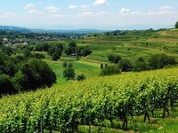 (Bildnachweis: Bildrechte Gemeinde Malterdingen)  (Bildnachweis: Bildrechte Gemeinde Malterdingen)