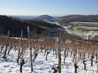 Blick vom Saalenberg Richtung Bollschweil (Bildnachweis: Gemeinde Slden)