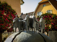 (Bildnachweis: Stadtverwaltung Geisingen)  (Bildnachweis: Stadtverwaltung Geisingen)