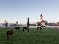 (Bildnachweis: Mit Freundlicher Genehmigung der Gemeinde Neuried)  (Bildnachweis: Mit Freundlicher Genehmigung der Gemeinde Neuried)