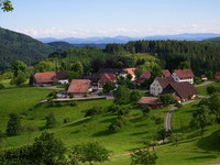 Schwand im Sommer (Bildnachweis: Gemeinde Kleines Wiesental)