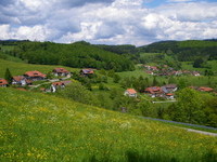 Raich im Sommer (Bildnachweis: Gemeinde Kleines Wiesental)