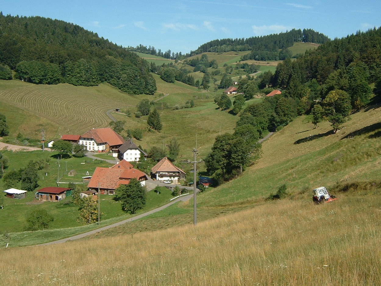 Schwarzwaldort Kleines Wiesental Neuenweg Orte im