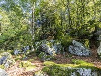 Jungholz Solfelsen im Hotzenwald (Bildnachweis: Mit freundlicher Genehmigung der Hotzenwald Tourismus GmbH)