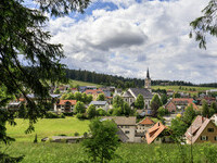  (Bildnachweis: Tourist-Information Schönwald)