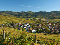 Blick auf Ehrenstetten  (Bildnachweis: Fotograf und Copyright: Th. Coch)