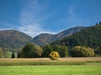  (Bildnachweis: Mit freundlicher Genehmigung der Ferienregion Mnstertal Staufen)