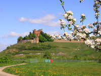 Schloss Kinzigtal (Bildnachweis: Mit freundlicher Genehmigung der Gemeinde Ortenberg) Schloss Kinzigtal (Bildnachweis: Mit freundlicher Genehmigung der Gemeinde Ortenberg)