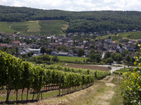 (Bildnachweis: Gemeinde Pfaffenweiler) (Bildnachweis: Gemeinde Pfaffenweiler)
