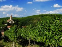 (Bildnachweis: Mit freundlicher Genehmigung der Touristikinformation Auggen / Winzerkeller Auggener Schäf)  (Bildnachweis: Mit freundlicher Genehmigung der Touristikinformation Auggen / Winzerkeller Auggener Schäf)