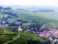 (Bildnachweis: Mit freundlicher Genehmigung der Touristikinformation Auggen / Winzerkeller Auggener Schäf)  (Bildnachweis: Mit freundlicher Genehmigung der Touristikinformation Auggen / Winzerkeller Auggener Schäf)