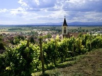 (Bildnachweis: Mit freundlicher Genehmigung der Touristikinformation Auggen / Winzerkeller Auggener Schäf)  (Bildnachweis: Mit freundlicher Genehmigung der Touristikinformation Auggen / Winzerkeller Auggener Schäf)