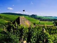 (Bildnachweis: Mit freundlicher Genehmigung der Touristikinformation Auggen / Winzerkeller Auggener Schäf)  (Bildnachweis: Mit freundlicher Genehmigung der Touristikinformation Auggen / Winzerkeller Auggener Schäf)