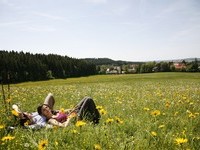  (Bildnachweis: Mit freundlicher Genehmigung der Stadt Bad Dürrheim)