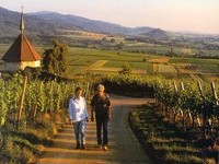 (Bildnachweis:  Mit freundlicher Genehmigung der Kur und Bäder GmbH Bad Krozingen)  (Bildnachweis:  Mit freundlicher Genehmigung der Kur und Bäder GmbH Bad Krozingen)