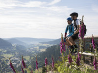 Natur, Mountainbike, Walterh�tte (Bildnachweis: Ulrike Klumpp)