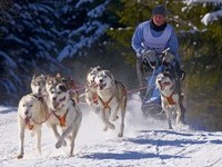 (Bildnachweis: Mit freundlicher Genehmigung Tourist Information Bernau)  (Bildnachweis: Mit freundlicher Genehmigung Tourist Information Bernau)