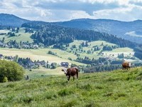 (Bildnachweis: Mit freundlicher Genehmigung Tourist Information Bernau)  (Bildnachweis: Mit freundlicher Genehmigung Tourist Information Bernau)