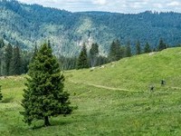 (Bildnachweis: Mit freundlicher Genehmigung Tourist Information Bernau)  (Bildnachweis: Mit freundlicher Genehmigung Tourist Information Bernau)