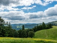 (Bildnachweis: Mit freundlicher Genehmigung Tourist Information Bernau)  (Bildnachweis: Mit freundlicher Genehmigung Tourist Information Bernau)