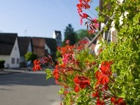 (Bildnachweis: Gemeinde Buggingen)  (Bildnachweis: Gemeinde Buggingen)