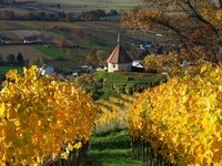 (Bildnachweis: Copyright und Fotograf: Th. Coch)  (Bildnachweis: Copyright und Fotograf: Th. Coch)