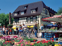 (Bildnachweis: Mit freundlicher Genehmigung der Stadt Haslach) (Bildnachweis: Mit freundlicher Genehmigung der Stadt Haslach)