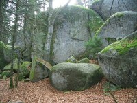  (Bildnachweis: Stadt Furtwangen im Schwarzwald)