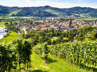 Gengenbach (Bildnachweis: Mit freundlicher Genehmigung der Gengenbach Kultur - und Tourismus GmbH, Fotograf Dieter Wissing) Gengenbach (Bildnachweis: Mit freundlicher Genehmigung der Gengenbach Kultur - und Tourismus GmbH, Fotograf Dieter Wissing)
