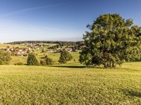 G�rwihl - Engelschwand  (Bildnachweis: Mit freundlicher Genehmigung der Hotzenwald Tourist-Info G�rwihl  )