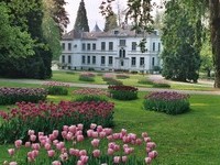 (Bildnachweis: Mit freundlicher Genehmigung der Stadt Lahr)  (Bildnachweis: Mit freundlicher Genehmigung der Stadt Lahr)