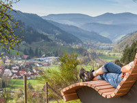 Himmelsliege (Bildnachweis: © Gemeindeverwaltung Gutach (Schwarzwaldbahn)) Himmelsliege (Bildnachweis: © Gemeindeverwaltung Gutach (Schwarzwaldbahn))