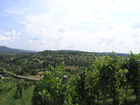 (Bildnachweis: Mit freundlicher Genehmigung der Stadt Müllheim)  (Bildnachweis: Mit freundlicher Genehmigung der Stadt Müllheim)
