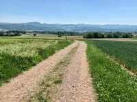 (Bildnachweis: Copyright: Dieter Pache) (Bildnachweis: Copyright: Dieter Pache)