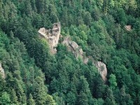 (Bildnachweis: Schramberg Tourismus)  (Bildnachweis: Schramberg Tourismus)