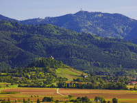  (Bildnachweis: Ferienregion Münstertal Staufen, Erich Spiegelhalter)