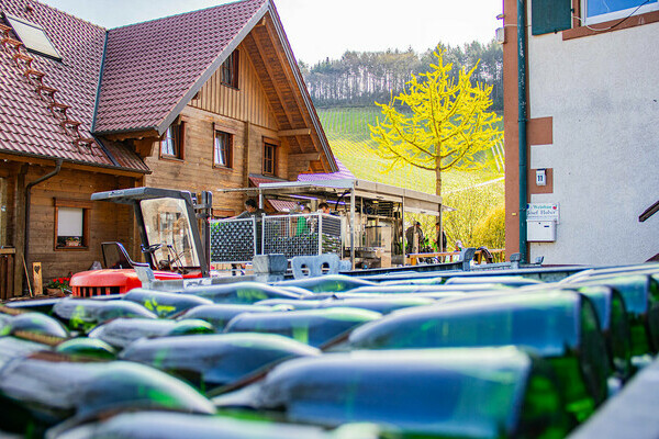 Winzerhöfe im Schwarzwald