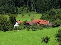 Bauernhöfe im Schwarzwald