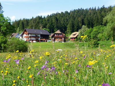 Ferienwohnungen im Schwarzwald