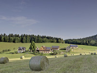 Bauernhöfe im Schwarzwald