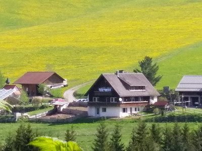 Ferienwohnungen im Schwarzwald