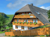 Bauernhöfe im Schwarzwald